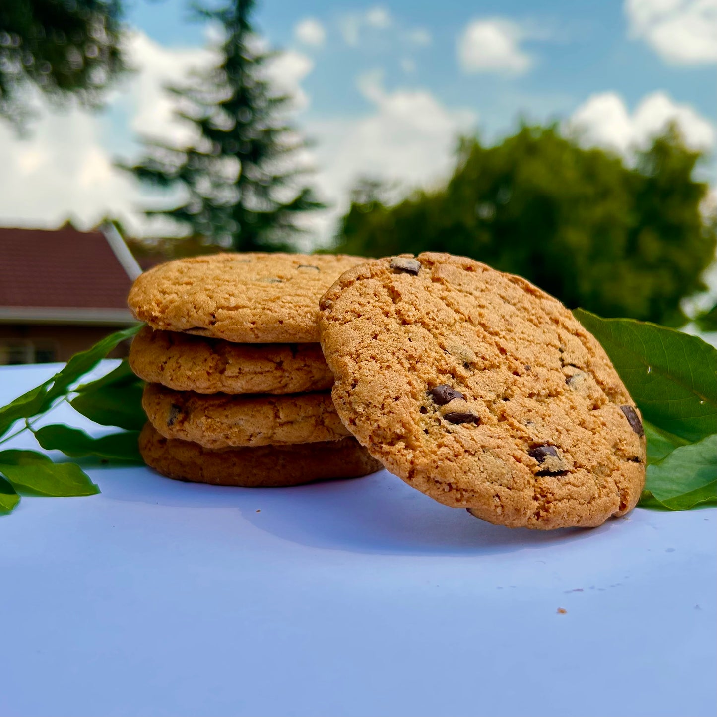 Chocolate Chip Cookie