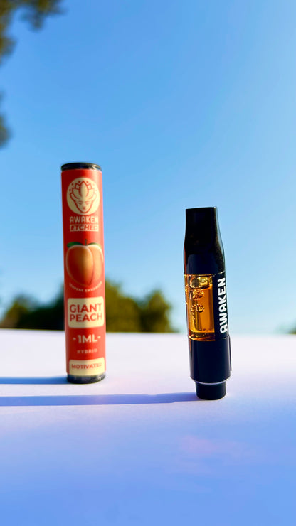 Awaken Etched Cartridge - “Giant Peach”