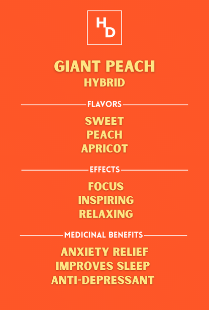 Awaken Etched Cartridge - “Giant Peach”