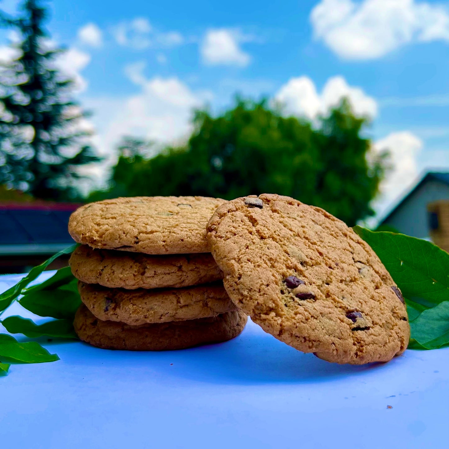 Chocolate Chip Cookie
