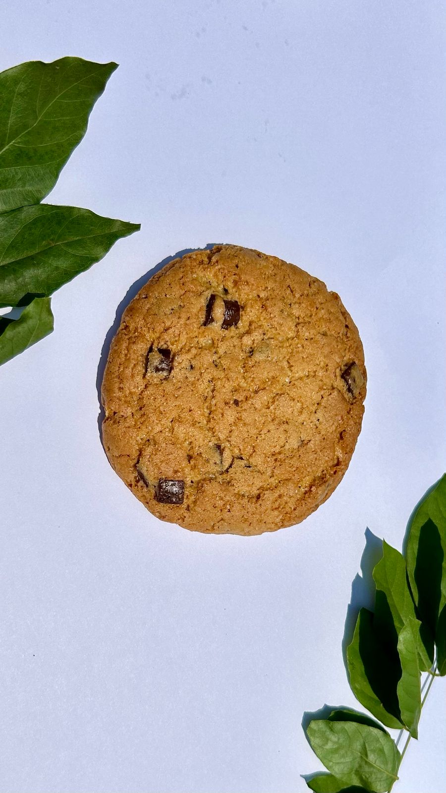 Chocolate Chip Cookie
